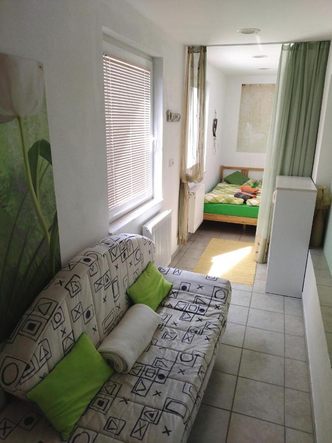 Apartma Peter1A Begunje na Gorenjskem Εξωτερικό φωτογραφία